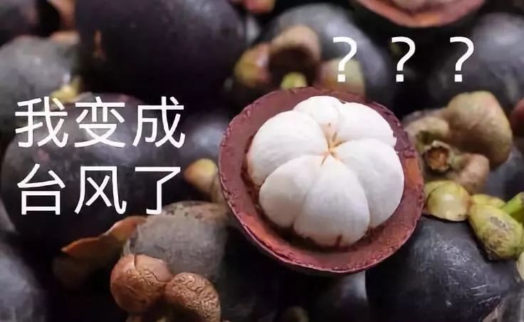 台风风王“山竹”来袭 | 开云（中国）环保有事情要告诉你！